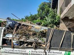 Best Commercial Junk Removal  in Pine Hill, NJ