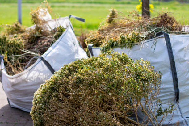 Best Carpet Removal and Disposal  in Pine Hill, NJ